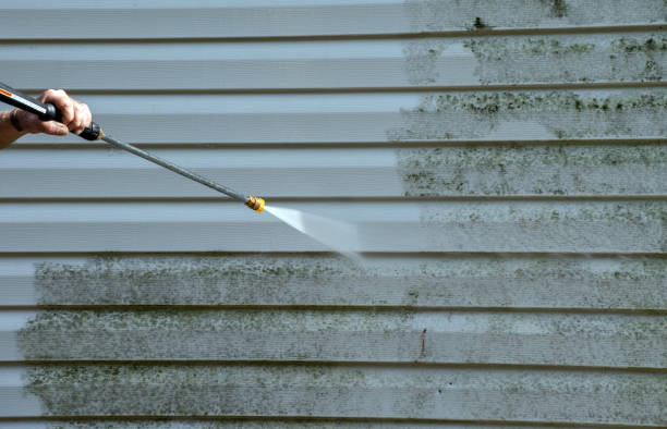 Professional Pressure Washing Services in Lake Magdalene, FL